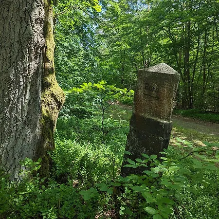 Borner Holzhaus